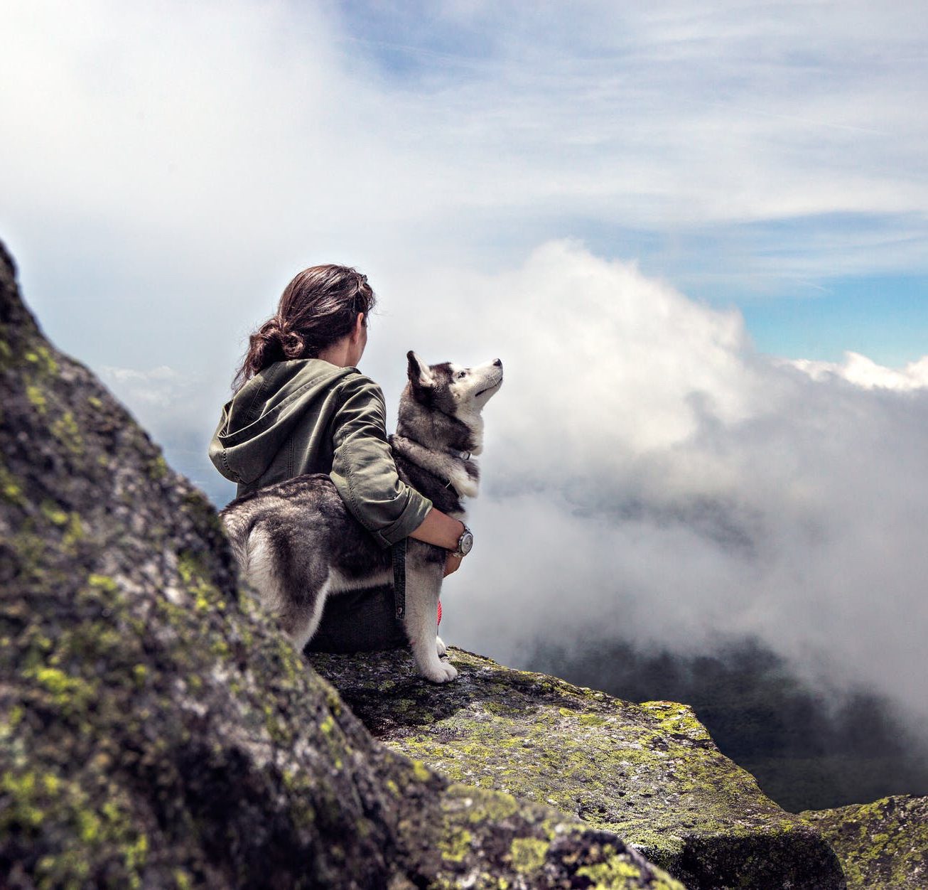 The NotablePooch : Celebrating Canine Heroes and Legends